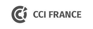CCI France
